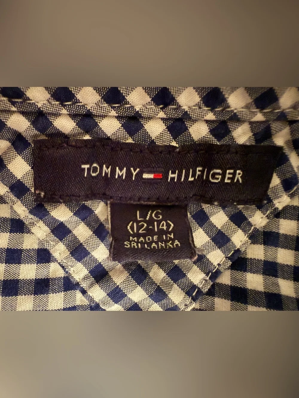 Tommy Hilfiger Navy and White Gingham Button-Down Shirt
